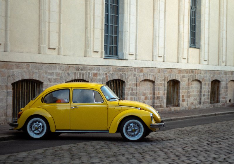 Beetle in the Cobbles